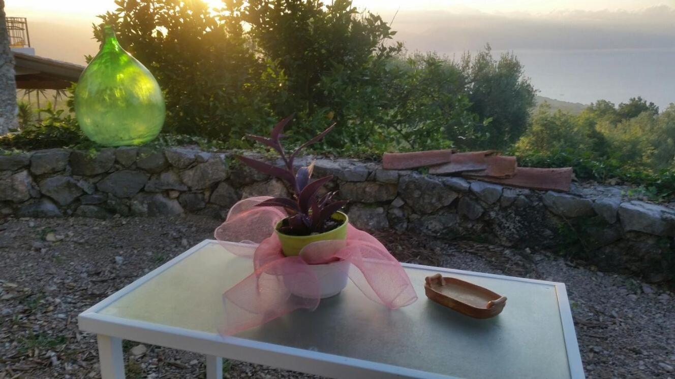 Agrestis Domus Guest House Сан Джовани а Пиро Екстериор снимка